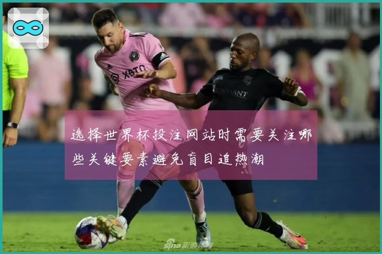 选择世界杯投注网站时需要关注哪些关键要素避免盲目追热潮