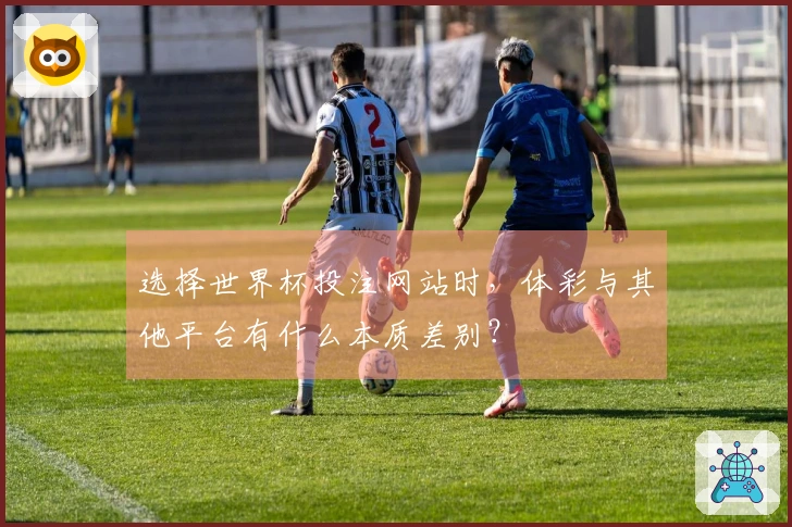 选择世界杯投注网站时，体彩与其他平台有什么本质差别？