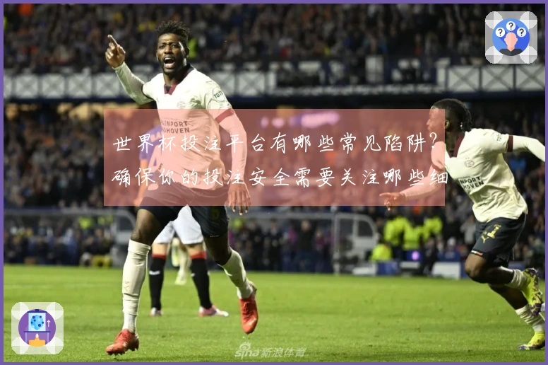 世界杯投注平台有哪些常见陷阱？确保你的投注安全需要关注哪些细节
