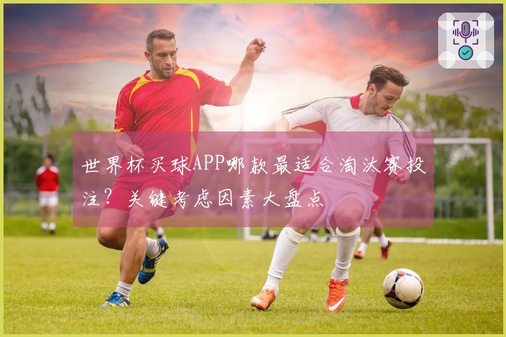 世界杯买球APP哪款最适合淘汰赛投注？关键考虑因素大盘点
