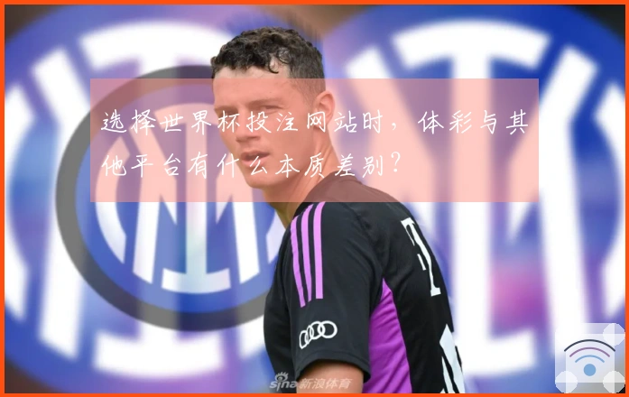 选择世界杯投注网站时，体彩与其他平台有什么本质差别？