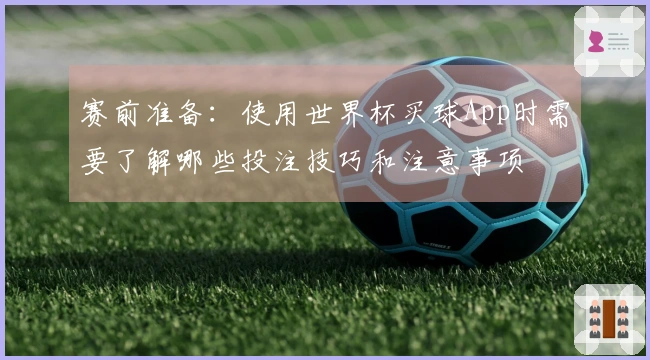 赛前准备：使用世界杯买球App时需要了解哪些投注技巧和注意事项