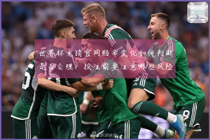 世界杯竞猜官网赔率变化如何判断是否合理，投注前要注意哪些风险提示