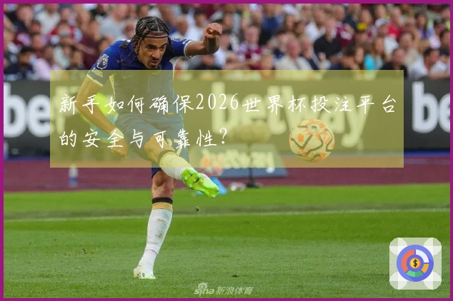 新手如何确保2026世界杯投注平台的安全与可靠性？