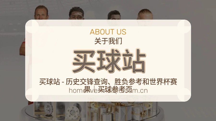 买球站服务支持与客服信息展示图